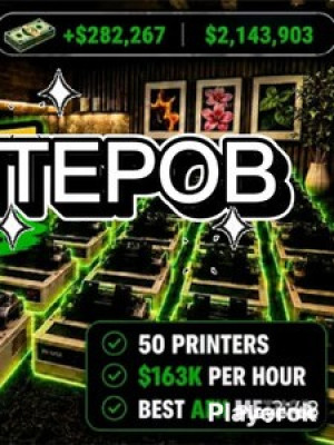 50 принтеров ДЕШЕВО! San Diego border roleplay