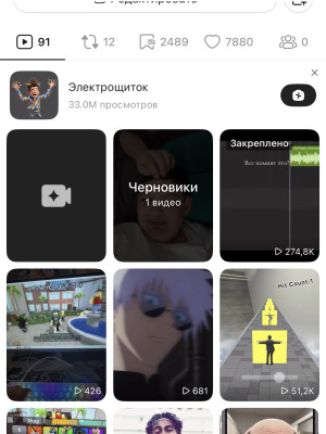 12.9 К чистых подписчиков!