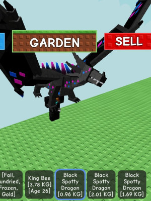 Blak Spotty Dradon 0.96-2.01кг лет 1-7 мутация:без