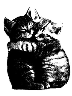 связь с продавцом🐾