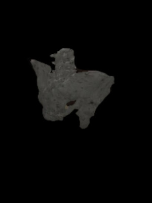 Pelvis of The Saint's Corpse (таз трупа святого)