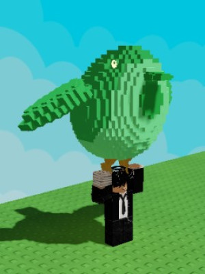 birb кг 42 лет 110