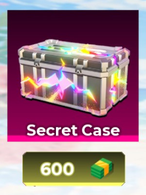 Secret Case
