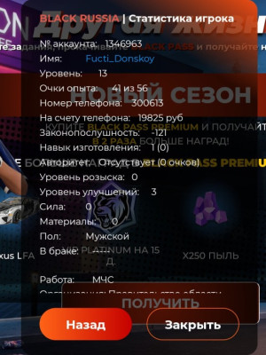Акк на Брянске 13 лвл