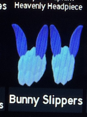 Bunny slippers