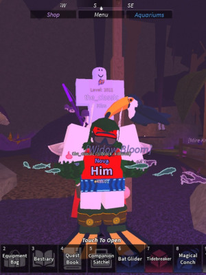 Him 1/10.000.000
