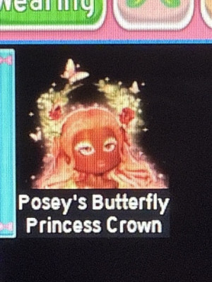 Posey's Butterfly Princess Crown