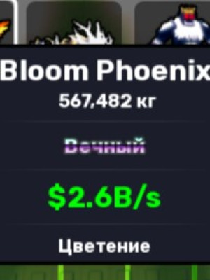 bloom  phoenix 2.6B/s