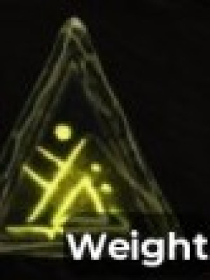 Weight