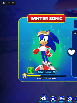 winter sonic