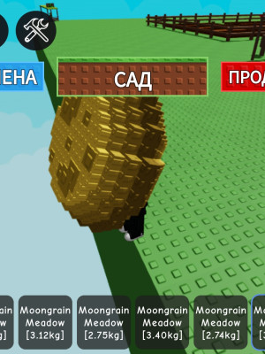 Небольшой набор лунного растения + подарок. Читать описание