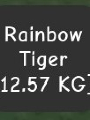 Продам питомца в Вырасти Сад ( Радужный Тигр 🐯)
