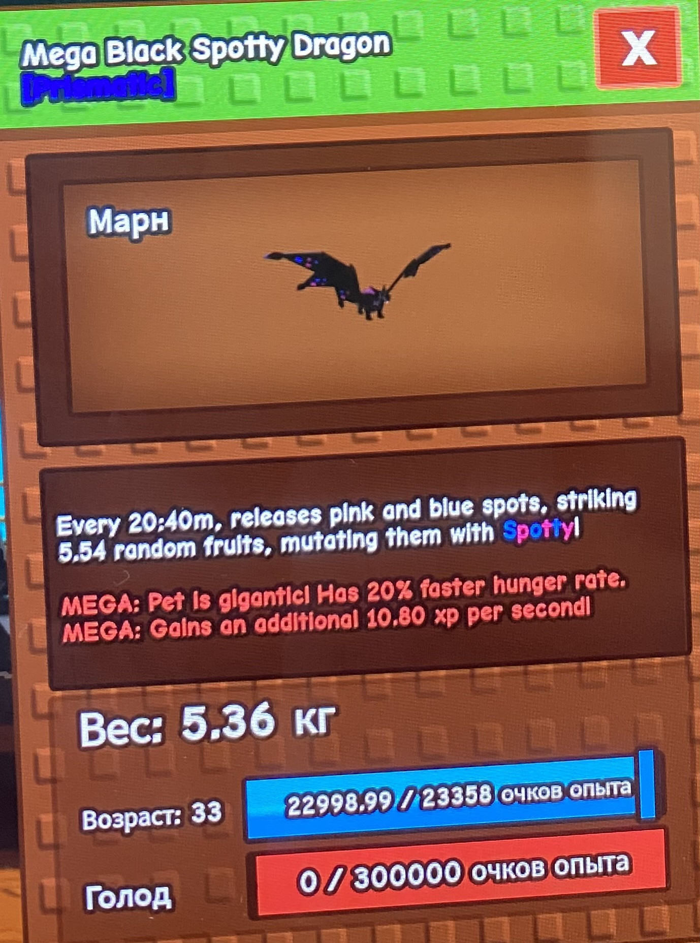 Mega black spotty dragon