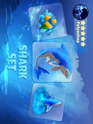 🦈SHARK SET🦈