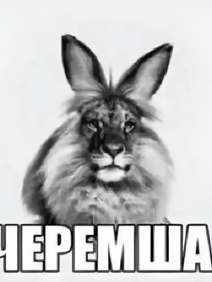 фармила на час