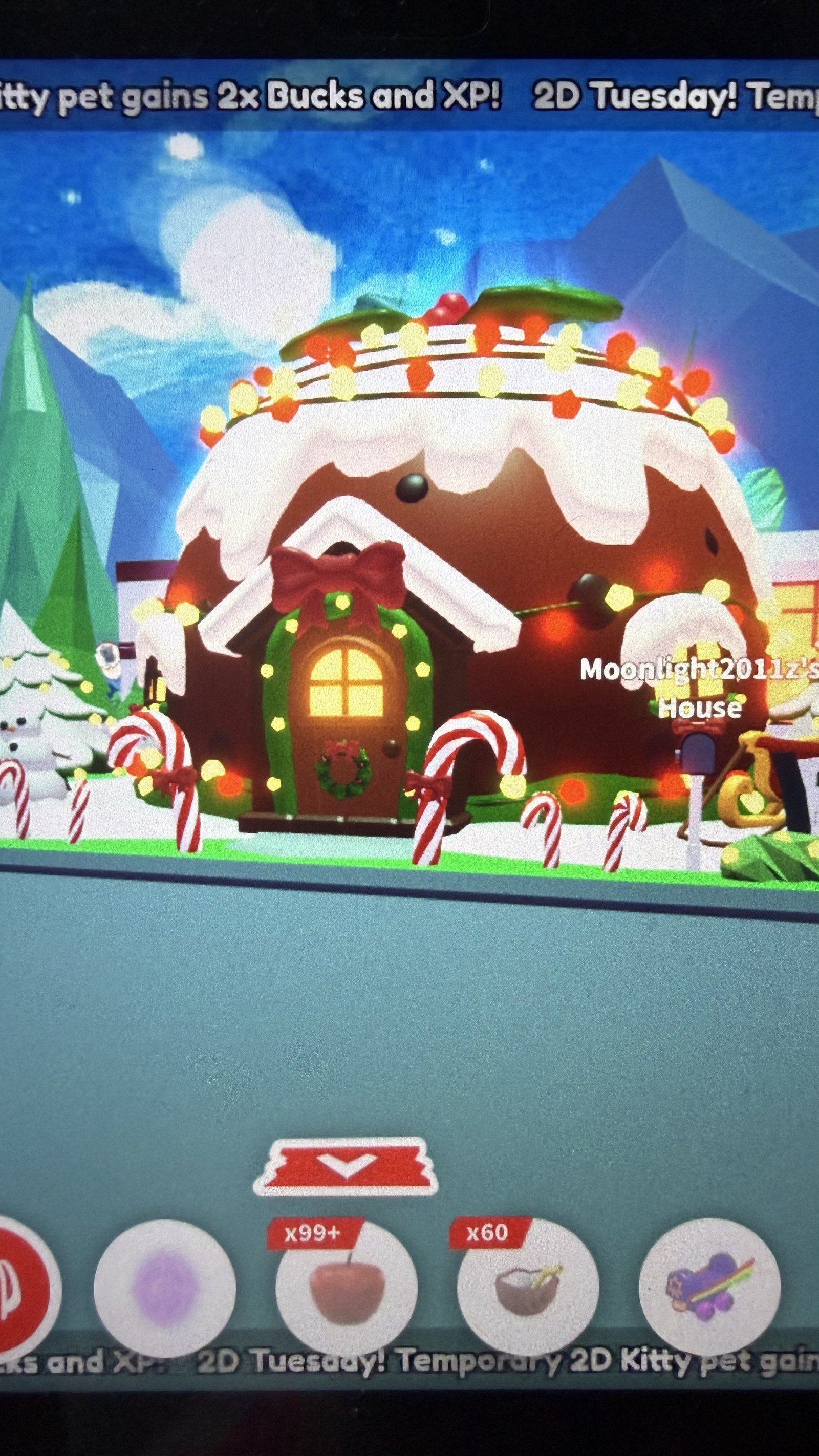 Pudding house украшенный