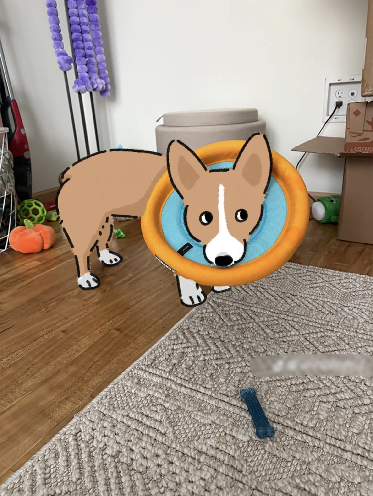 My pet art