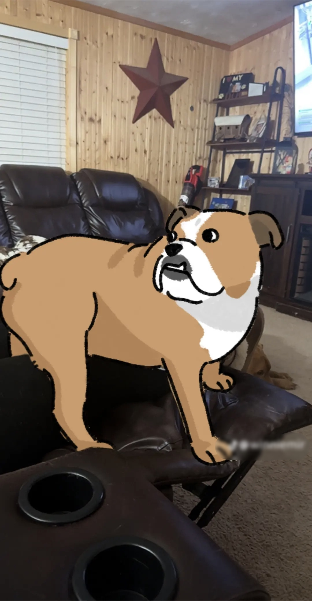 My pet art
