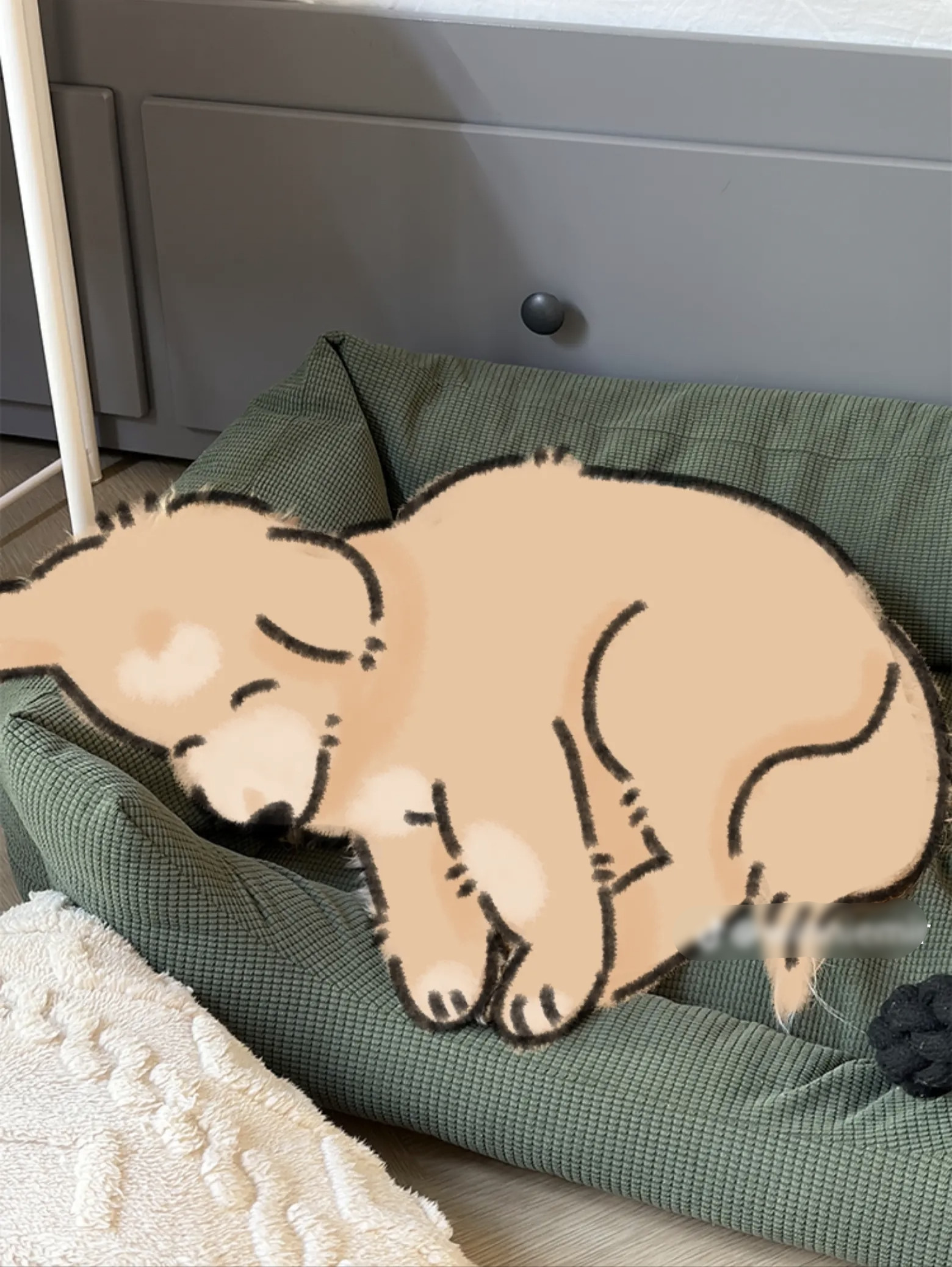 My pet art