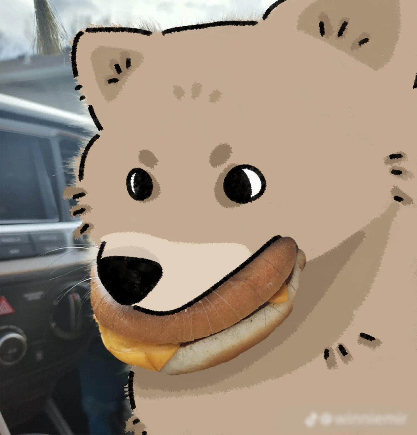 My pet art