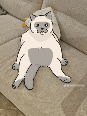 My pet art