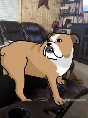 My pet art