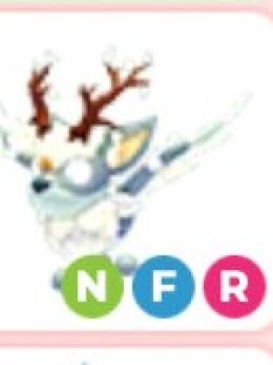 review_img