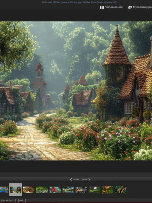 ACDSee Photo Studio Professional 2025 | Лицензионный ключ. Глубокая обработка фото