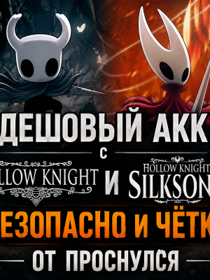 ОФЛАЙН АКК С Hollow Knight и Hollow Knight: Silksong