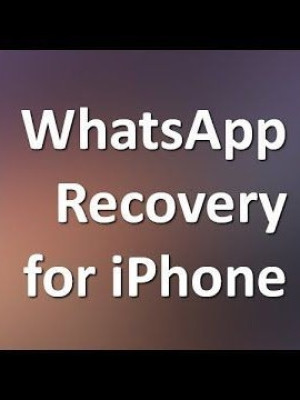 Coolmuster iPhone WhatsApp Recovery | Лицензия. Восстановление сообщений история чата