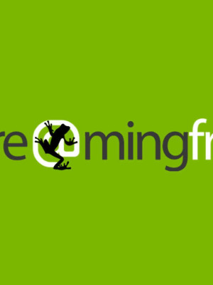 Screaming Frog SEO Spider | Лицензионный ключ до 26.01.2027 активация на 3 устройства