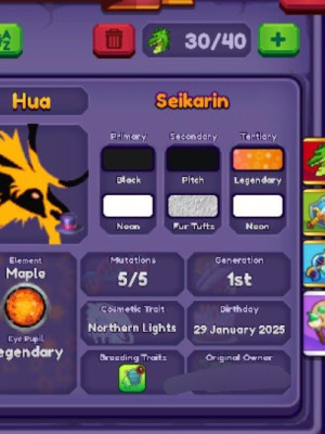Продажа Seikarin Dragon