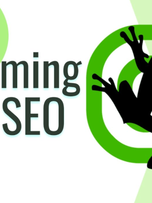 Screaming Frog SEO Spider | Лицензионный ключ до 26.01.2027 активация на 3 устройства