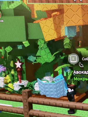 Любые 10 фруктов с этого сада