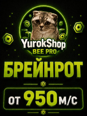 Брейнрот от 950 миллионов в секунду