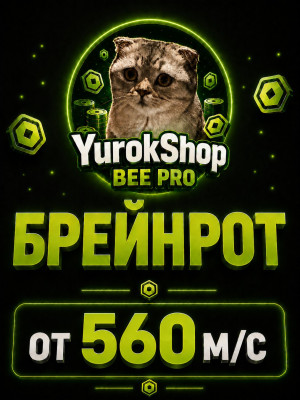 Брейнрот от 560 миллионов в секунду