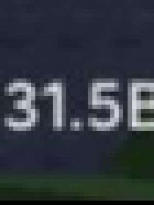 дам 19 петов на 31.5в денег