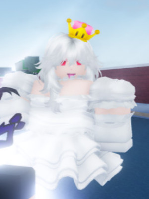 booette(shadow the world)