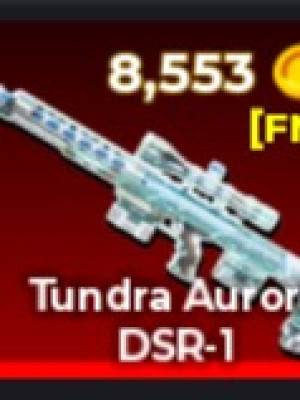 Tundra Aurora DSR-1 [FN]