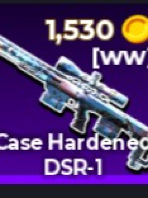 Case Hardened DSR-1 [WW]
