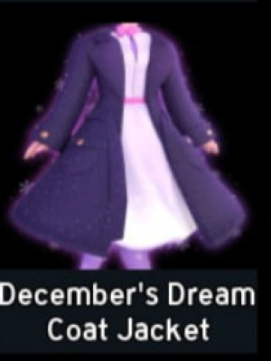 December's Dream Coat Jacket