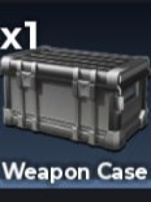 Weapon Case (x1)