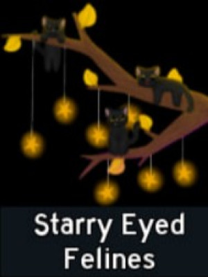 Starry Eyed Felines