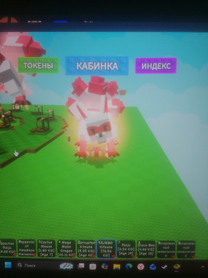 Кинуце 400 возрос 78кг
