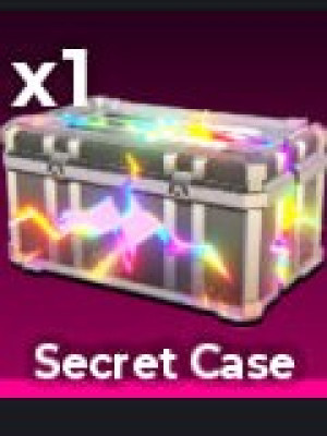 Secret Case (x1)