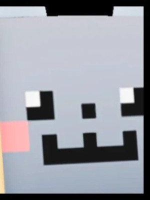 Huge Nyan cat