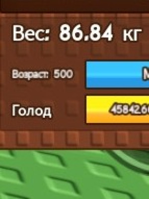 Сделаю вашему питьмцу 500 лет