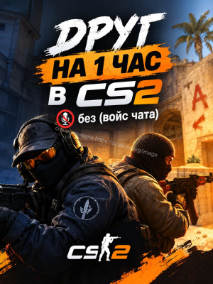 Друг на 1 час в cs 2  (без войс чата)