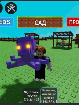 Научу играть в grow a garden раскажу все действующие коды,раскажу как быстро заработывать деньги и крутые растения