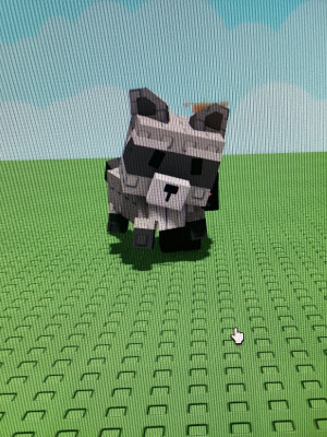 Raccoon | енот